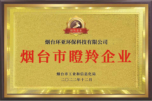 煙臺市瞪羚企業(yè)