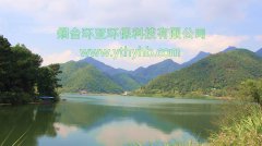 奇聞神霧節(jié)能稱人事總監(jiān)“霸占公章” 年報(bào)