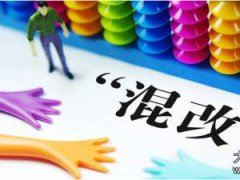 環(huán)保行業(yè)混改提速適應(yīng)新格局 民企向輕資產(chǎn)