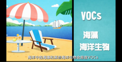 VOCs真的離您很遠(yuǎn)嗎？您真的不需要了解VOC
