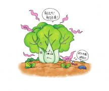 專家關(guān)于植物產(chǎn)生VOCs的一些常見問題解答