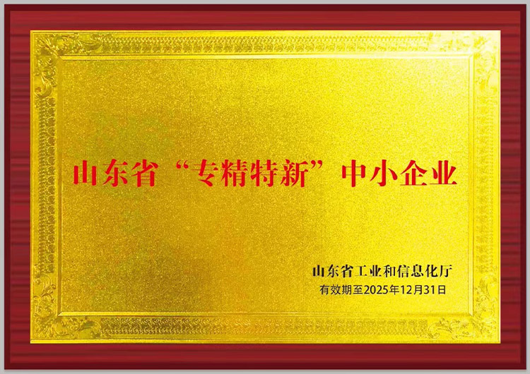 專精特新企業(yè) 專精特新企業(yè)
